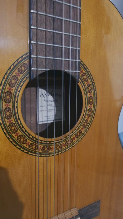 Walden n350e Классическая гитара