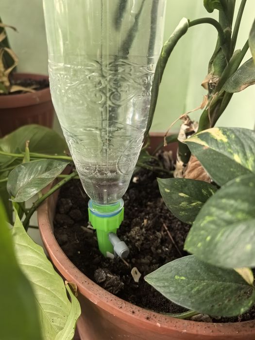 Автополив для комнатных растений