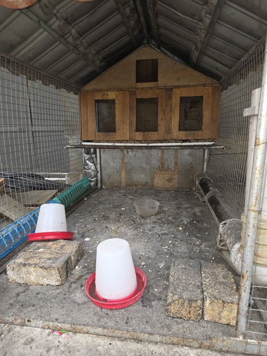 Жўжалар ва товуқлар учун қафас сотилади холати жудаям зўр,