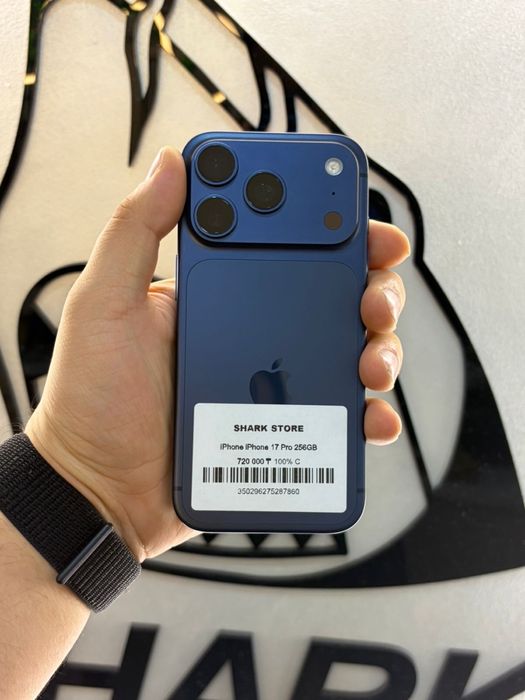 17 про 256 гб 100%