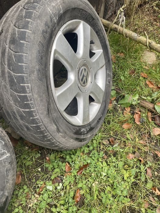 Jenti pentru w pasat  pe 16