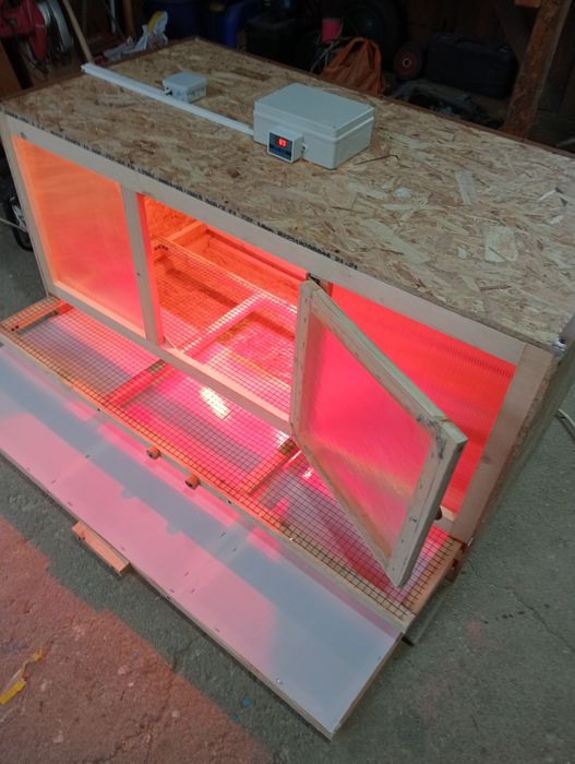 Maternitate pui de o zi