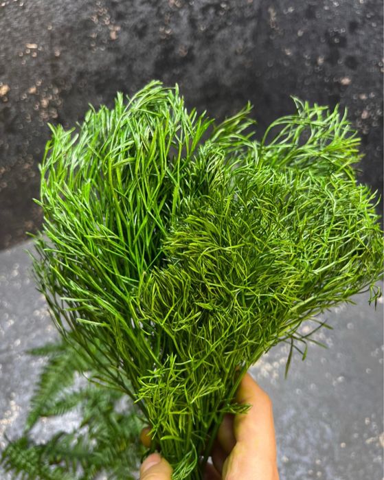 Стабилизированные растения в декоре