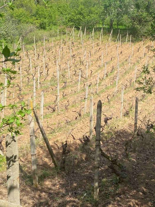 Продава се Къща в Харманли - 40 кв.м за 381 €/кв.м - Снимка #9