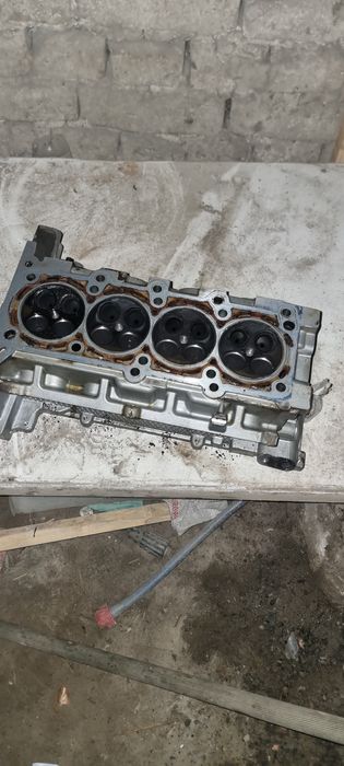 Галофка коблтга рабочи