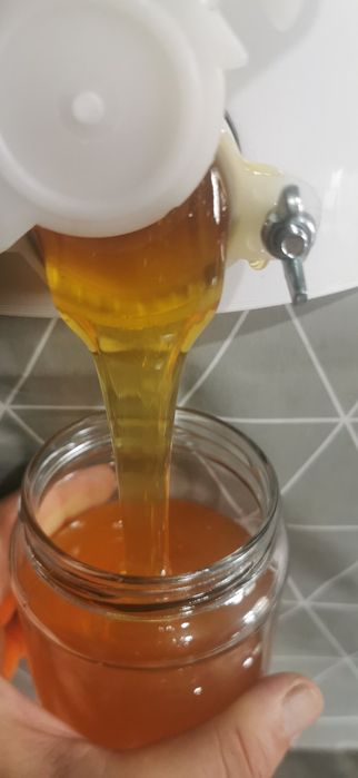 Пчелен билков мед 2025 безплатна доставка за Варна