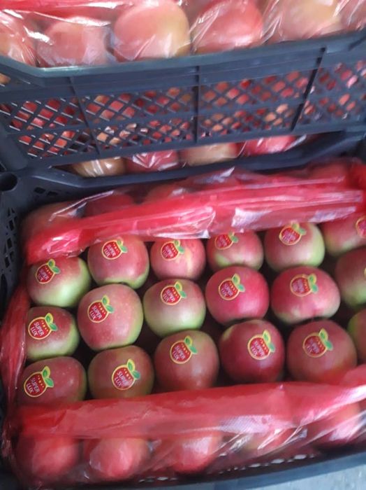 Продам яблоки оптом