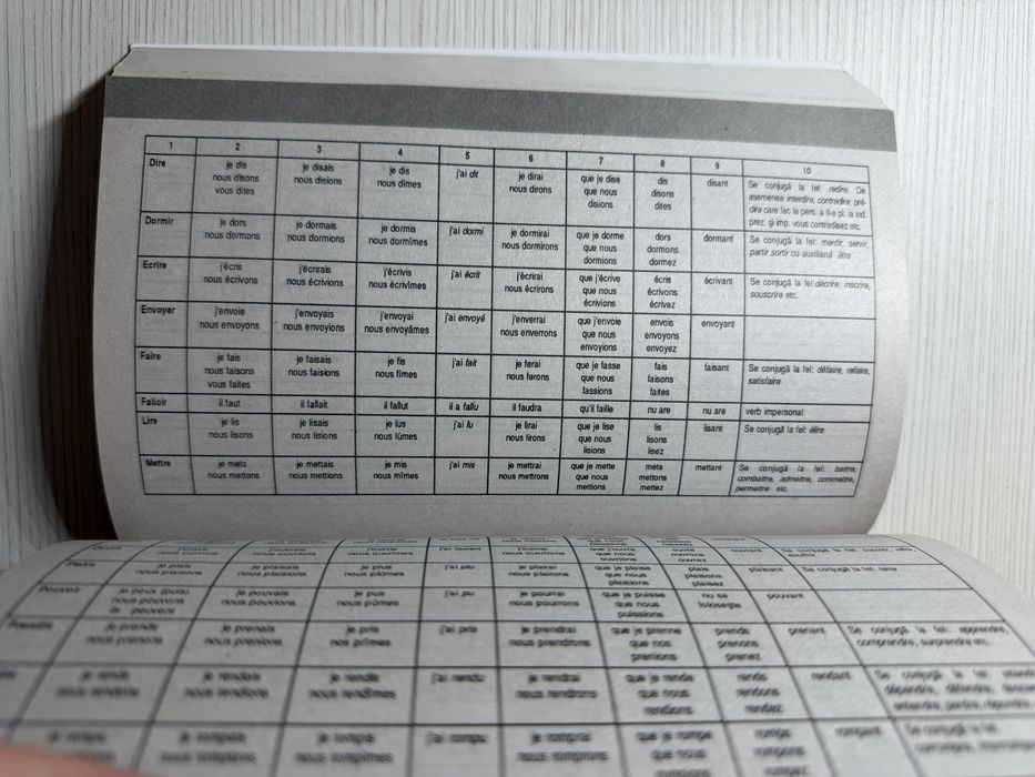 Dictionar francez-roman, roman-francez, NICULESCU