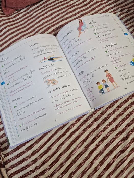 Primul meu dicționar Montesouri - Lariusse - Editura Litera