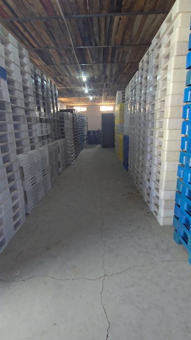 Евро поддон, пластиковый поддон, паллет, паддон, plastmassa paddon