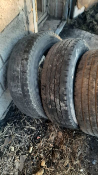 Автомобильные шины