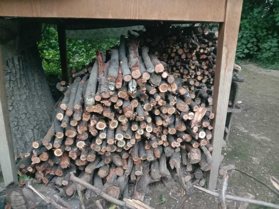 Дрова садовых деревьев