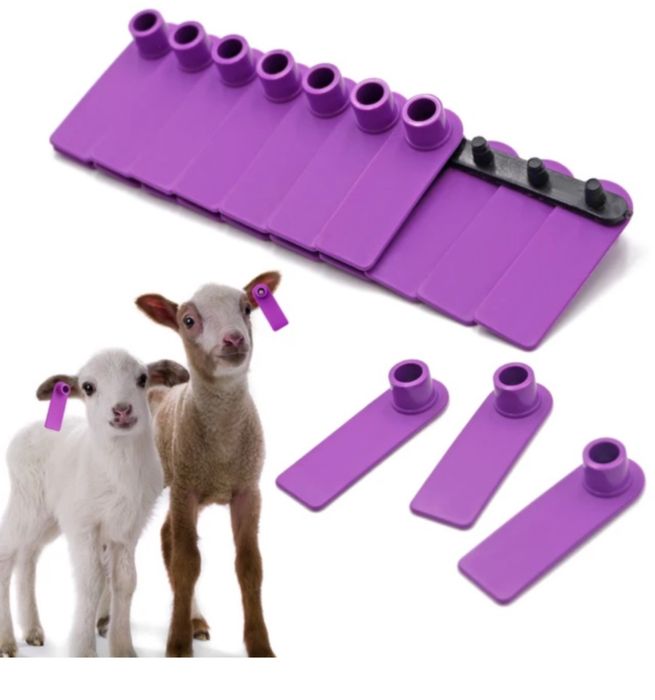 Сырға,Ірі қара малға,қойға