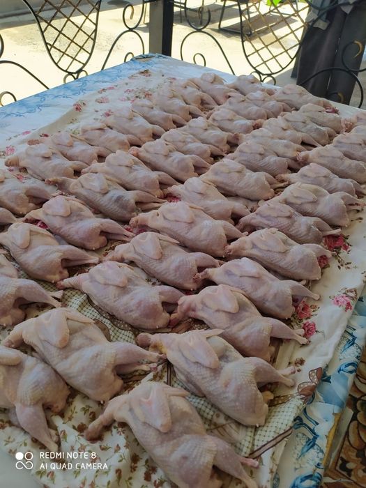 Продам свежие домашние перепелиные яйца.