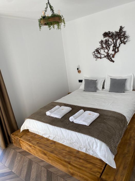 Pensiune/Cabana/jacuzzi/ciubar de inchiriat