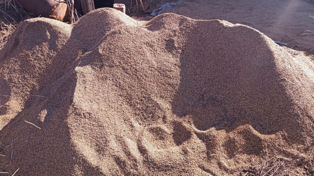 Зерноотходы продам