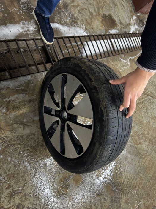 Титанка кио рио