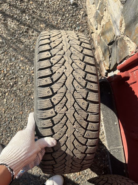 6 месатся горанти присутствует меня