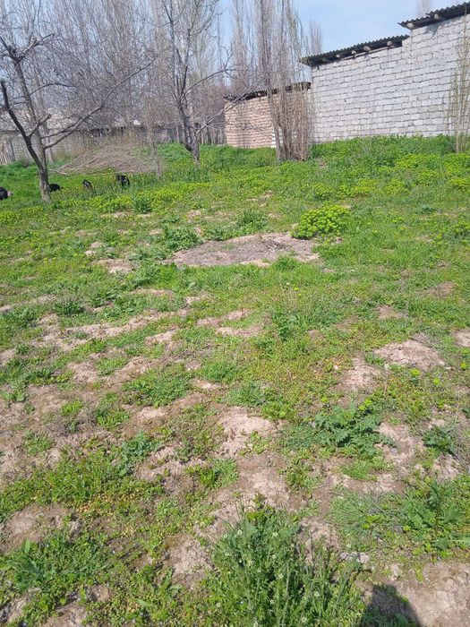 Ер сотилади яхши