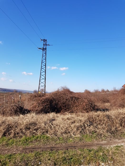 Парцел-къпини ,бивше лозе