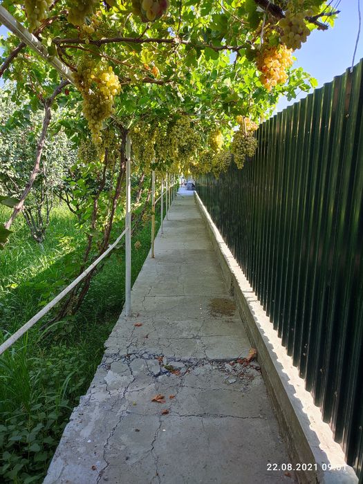 Участок в городе Навои