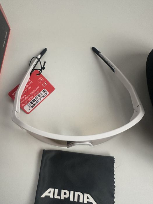 Очила Alpina RAM HR HVLM