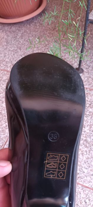 Pantofi de damă  cu lac.