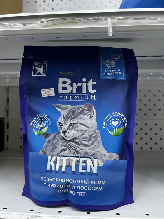 Корм брит для котят