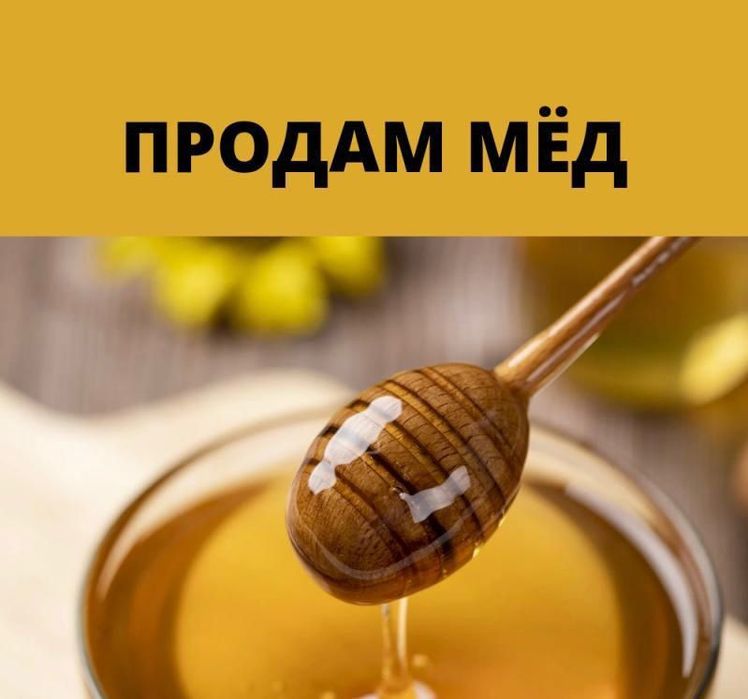 Продам свежий  мед