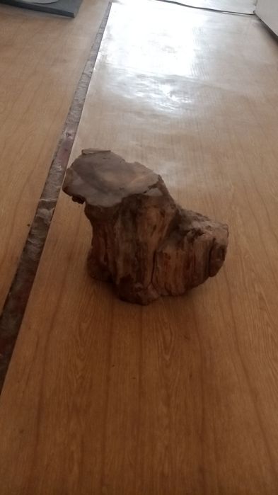 Окаменевшее дерево. Декор