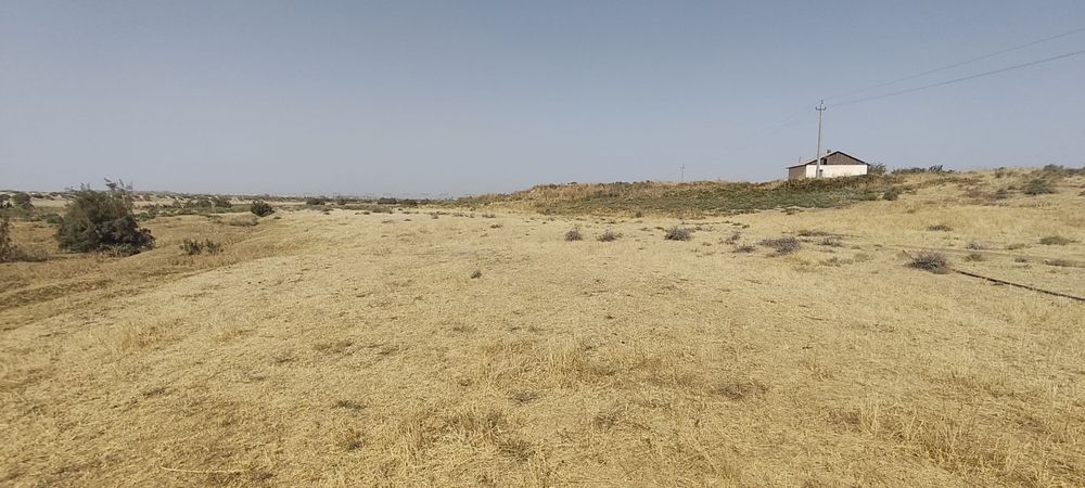 1 gektar 35 sotix yer sotiladi