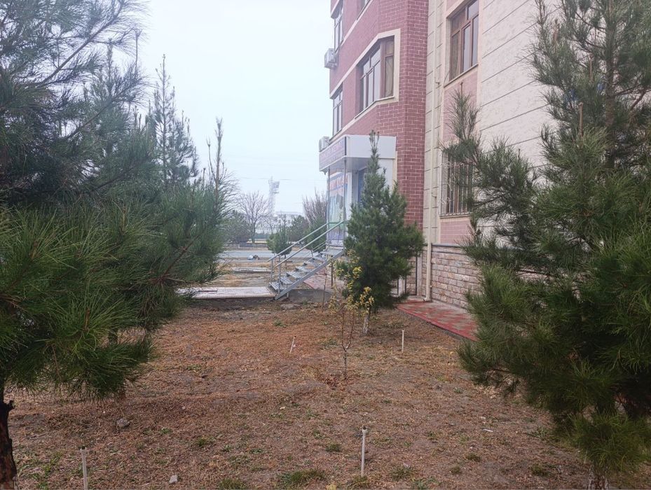 Офис ва хостел ижарага берилади