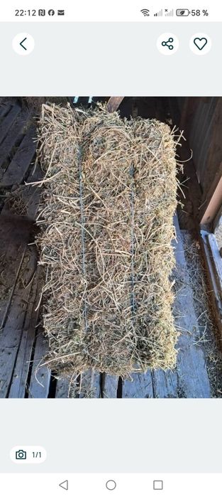 Vând  baloti lucerna