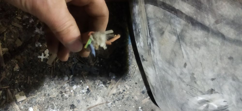 Электронная порилка. Печ.