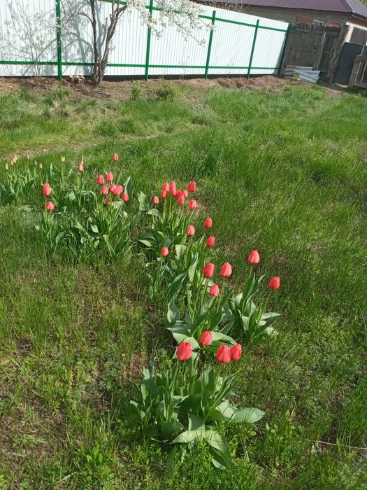 Продам земельный участок  10 соток