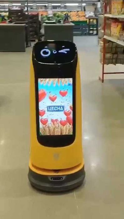 робот демонстрационный