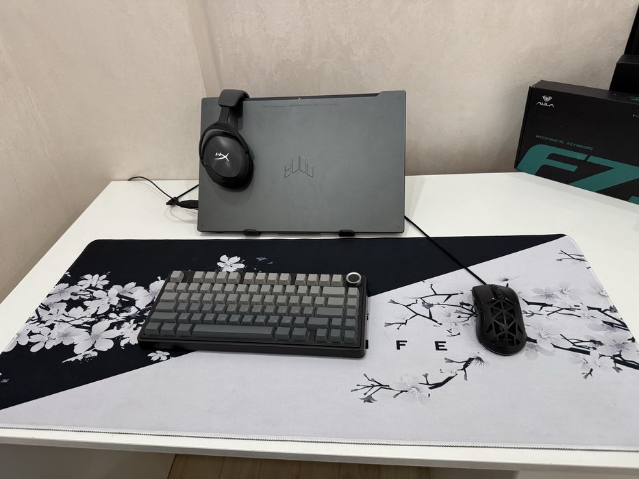 Asus tuf gaming Fa707