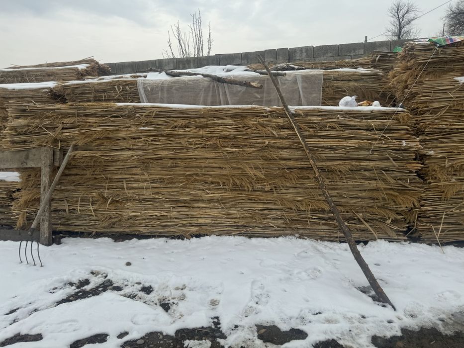 Қамыс, Маты сатылады,