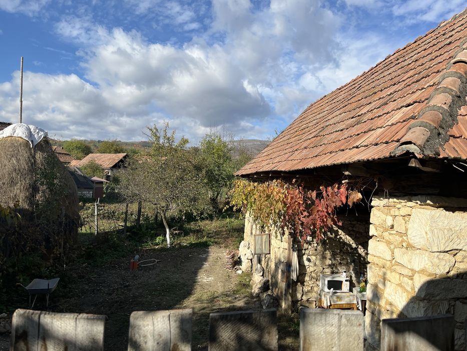 Casa in Podeni, potential deosebit