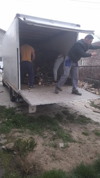 Taiere /toaletare cu alpinisti utilitari /în toate sectoarele din Buc