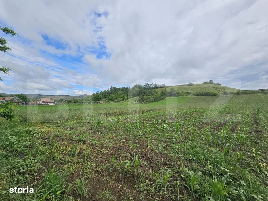 Teren intravilan 4.200 mp in Sancel, Toate utilitatile, Zona linistita