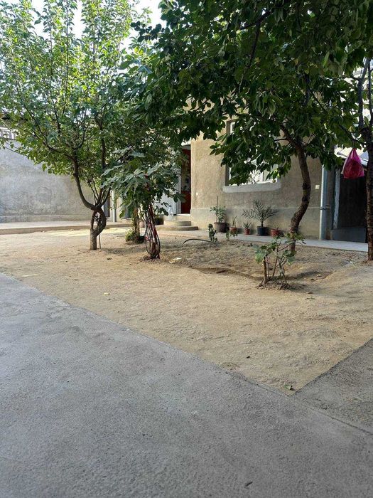 Эксклюзивное предложение!