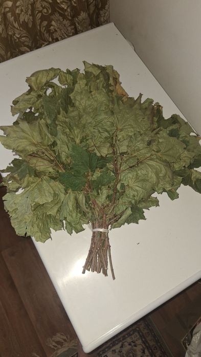 Веники: солодка и клен