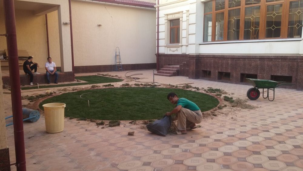 Gazon sifatli va tez