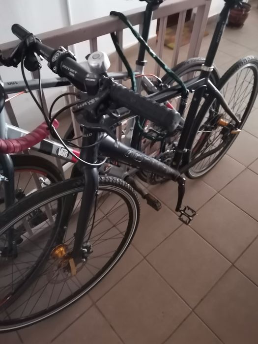 Bicicleta  de oras