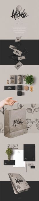 Разработка брендбук, брендирование