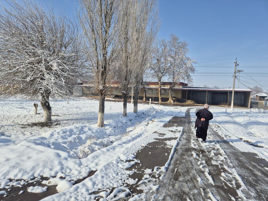 Кафе,ошхона,столовый,на трассе