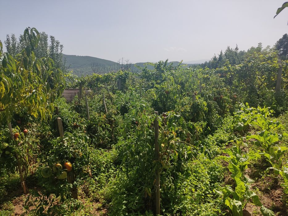 Продава се Къща в с. Логодаж, Област Благоевград - 280 кв.м за 715 €/кв.м - Снимка #21