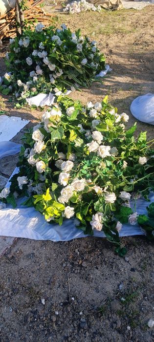 Хитой суний гуллари