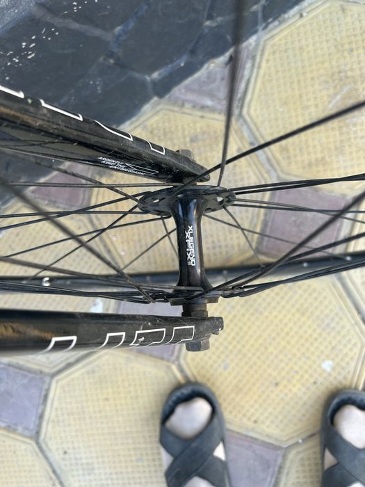 Фикс Ardently Arena lite L